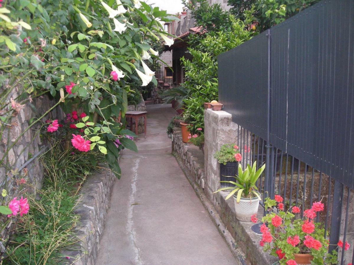 B&B L'Arcobaleno Península Sorrentina Exterior foto