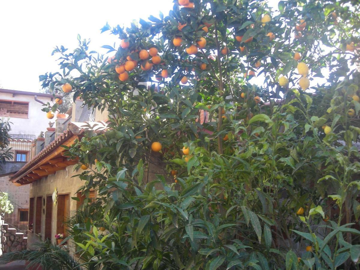 B&B L'Arcobaleno Península Sorrentina Exterior foto